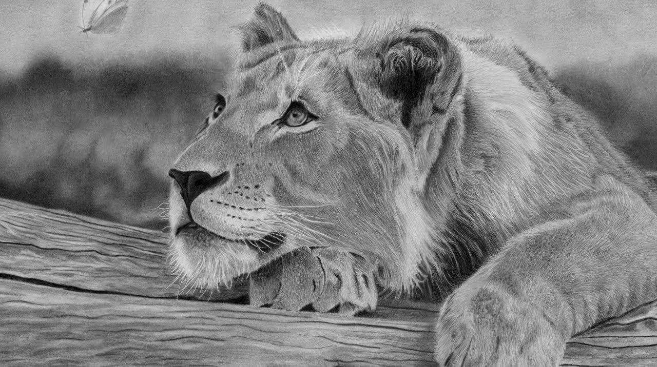 1280x716 How To Draw A Realistic Tree Stump Tutorial - Lion Realistic Drawing