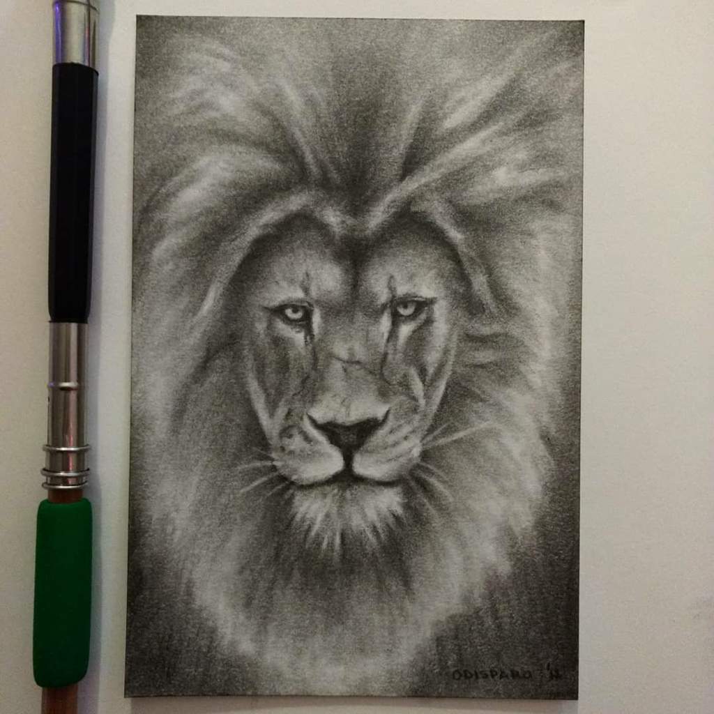 1024x1024 Lion Sketch Art Amino - Lion Realistic Drawing