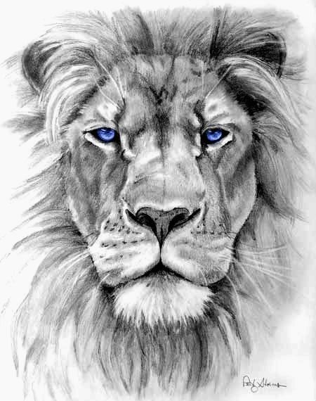 450x570 Tattoo Ideas Tattoos Piercings Lion Tattoo Design, Lion - Lion Realistic Drawing