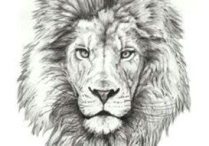 300x210 drawing a lions eye realistic drawings of animals incredibly - Lion Realistic Drawing