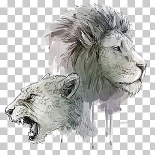 310x310 lions roar png cliparts for free download uihere - Lion Roaring Drawing
