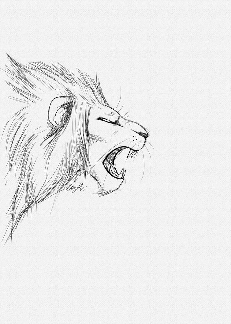 755x1058 lion roar sketch - Lion Roaring Drawing