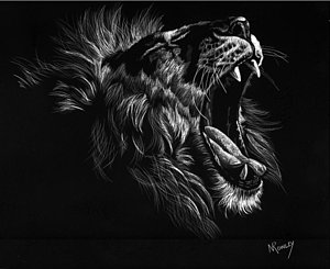 300x245 Lion Roaring Drawings Fine Art America - Lion Roaring Drawing