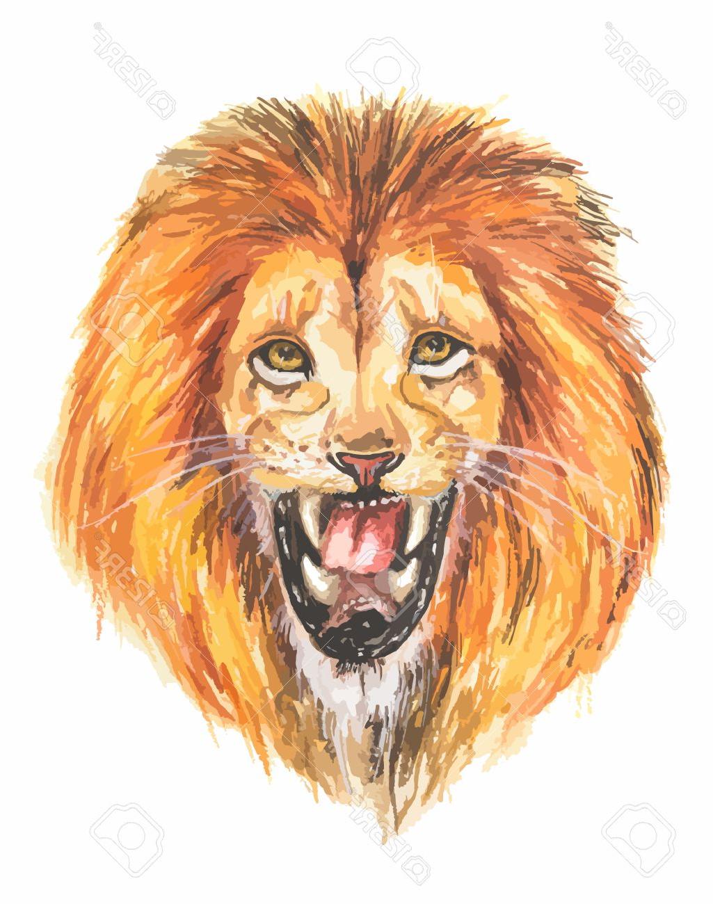 1025x1300 best free watercolor lion roar big fierce roaring hand drawing - Lion Roaring Drawing
