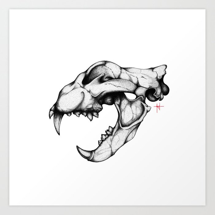 Lion Skull Drawing at PaintingValley.com | Explore collection of Lion