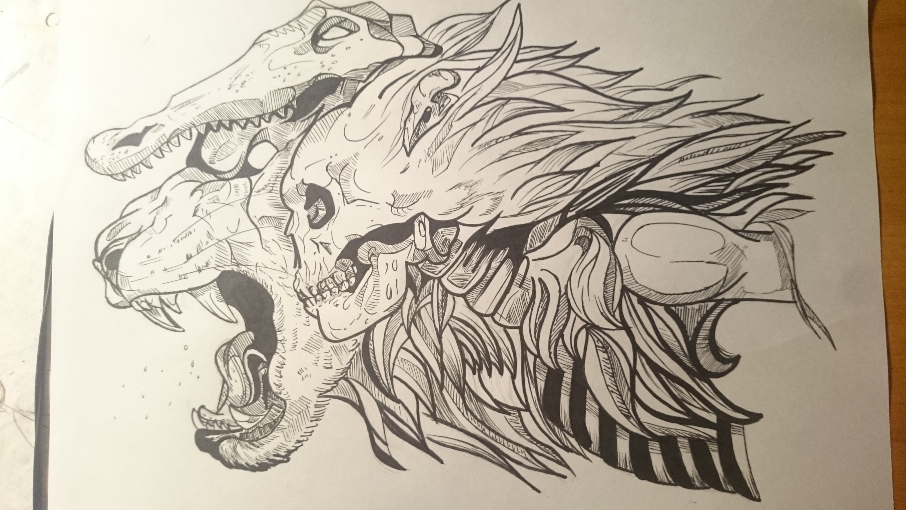 3840x2160 Lion Skull Drawing - Lion Skull Drawing