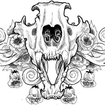 Lion Skull Drawing at PaintingValley.com | Explore collection of Lion ...