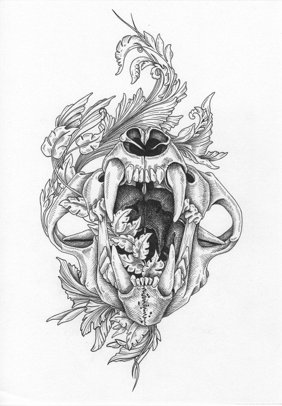 570x820 Lion Skull Etsy - Lion Skull Drawing