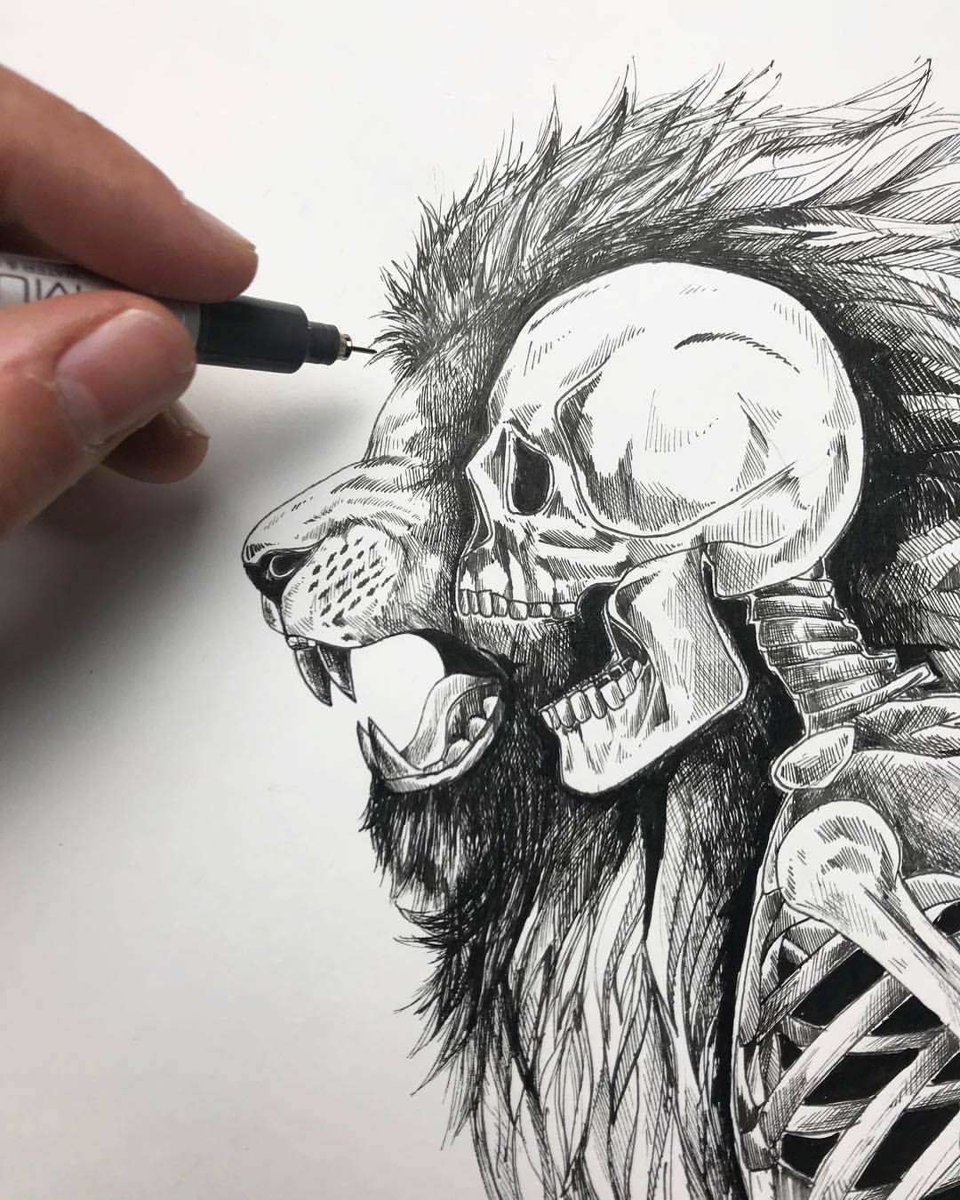 1080x1350 Alfred Basha - Lion Skull Drawing