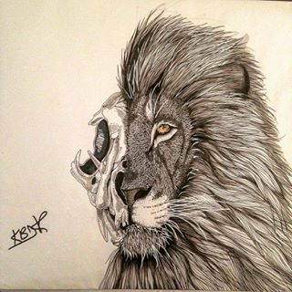 320x320 How To Draw A Lion Skull - Lion Skull Drawing