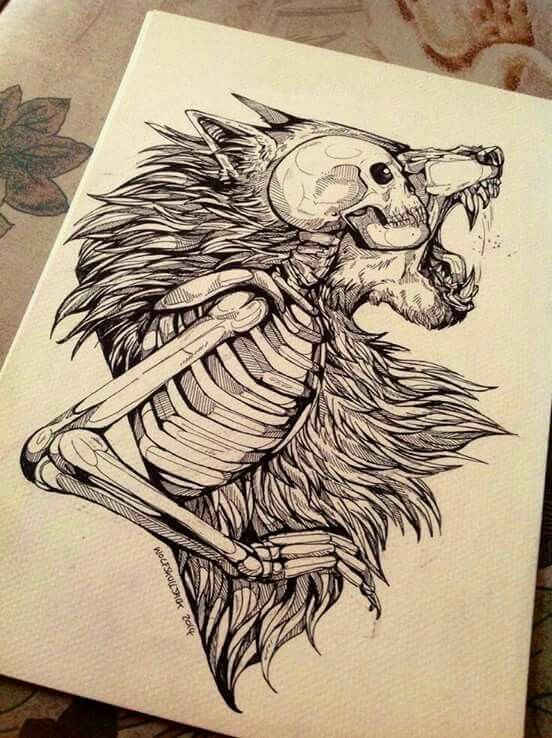 552x738 Lion Skeleton Drawing Dope Af! Skull Love Art, Drawings - Lion Skull Drawing