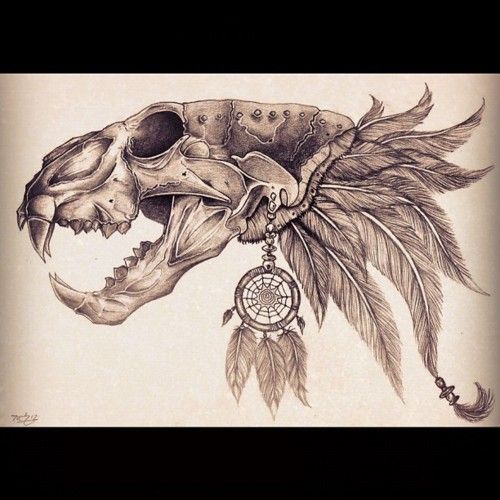 500x500 Crazy Lion Skull Drawing Projects To Try Skull Art, Art, Drawings - Lion Skull Drawing