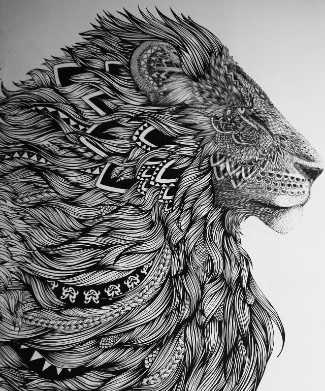 640x770 majestic lion tattoo sketch - Lion Tattoo Drawing