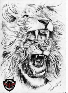 236x325 best lion tattoo drawing images tattoo sleeves, sleeve - Lion Tattoo Drawing