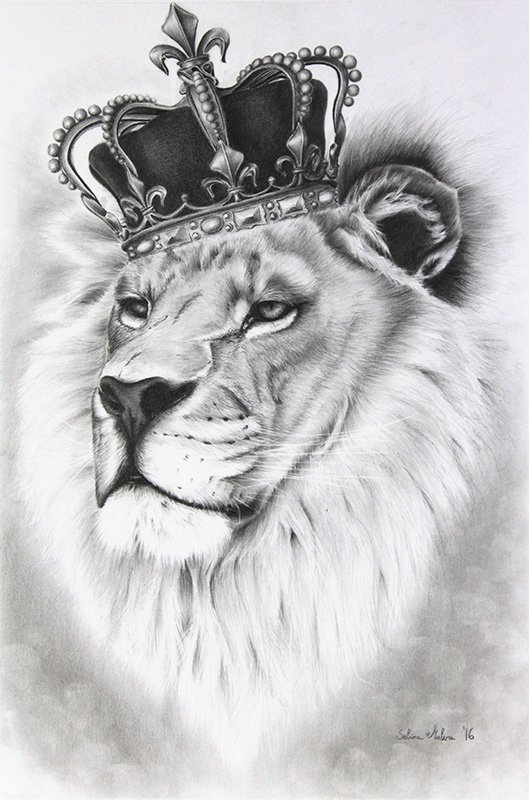 Lion With Crown Drawing