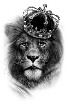 Lion With Crown Drawing at PaintingValley.com | Explore collection of