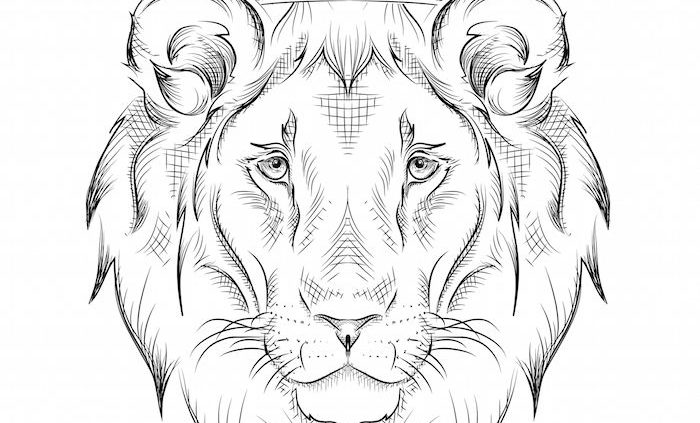 700x423 lion head drawing, lion with crown, tattoo template drawing, lion - Lion With Crown Drawing