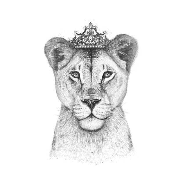 630x630 Lioness Drawing Crown For Free Download - Lion With Crown Drawing. 