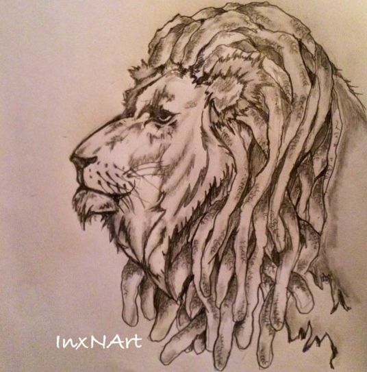 536x543 Lion With Dreads Tattoo Drawings - Lion With Dreads Drawing