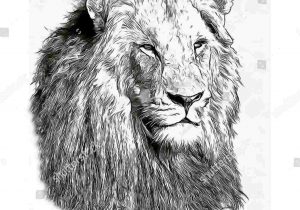 300x210 A Guy From The Backahhhhh Huge Turn Fashion Rhcom Lion - Lion With Dreads Drawing
