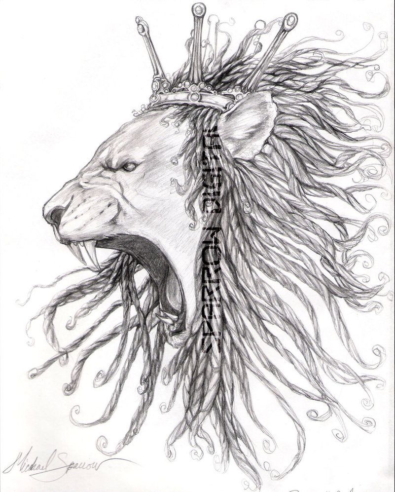 801x997 Dread Lion - Lion With Dreads Drawing