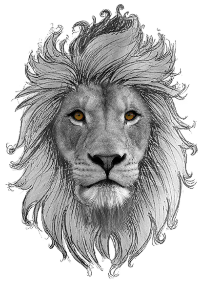 412x581 Collection Of Free Drawing Dreadlocks Lion Download On Ui Ex - Lion With Dreads Drawing