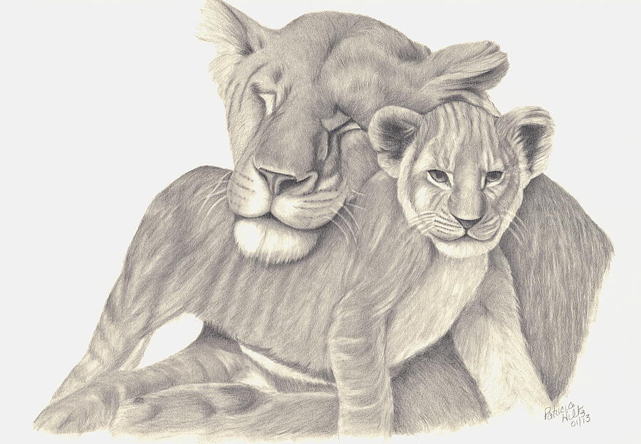 900x624 lioness and cub drawing - Lioness Drawing