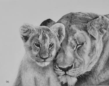 375x298 lioness and cub drawing - Lioness Drawing