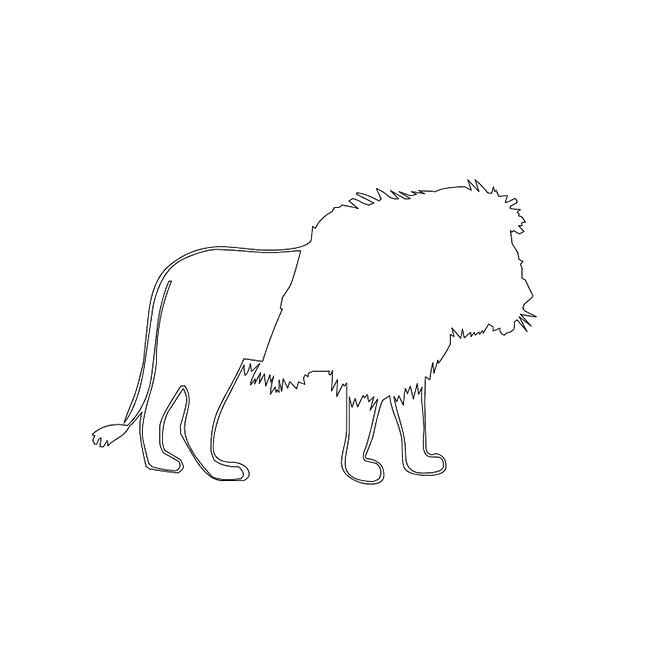 650x650 Lion Outline - Lioness Head Drawing