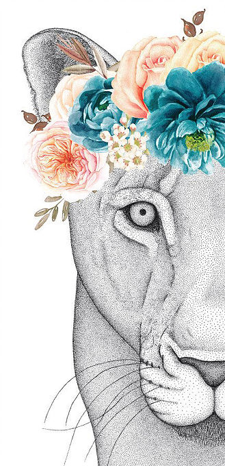 329x680 lioness contact - Lioness Head Drawing