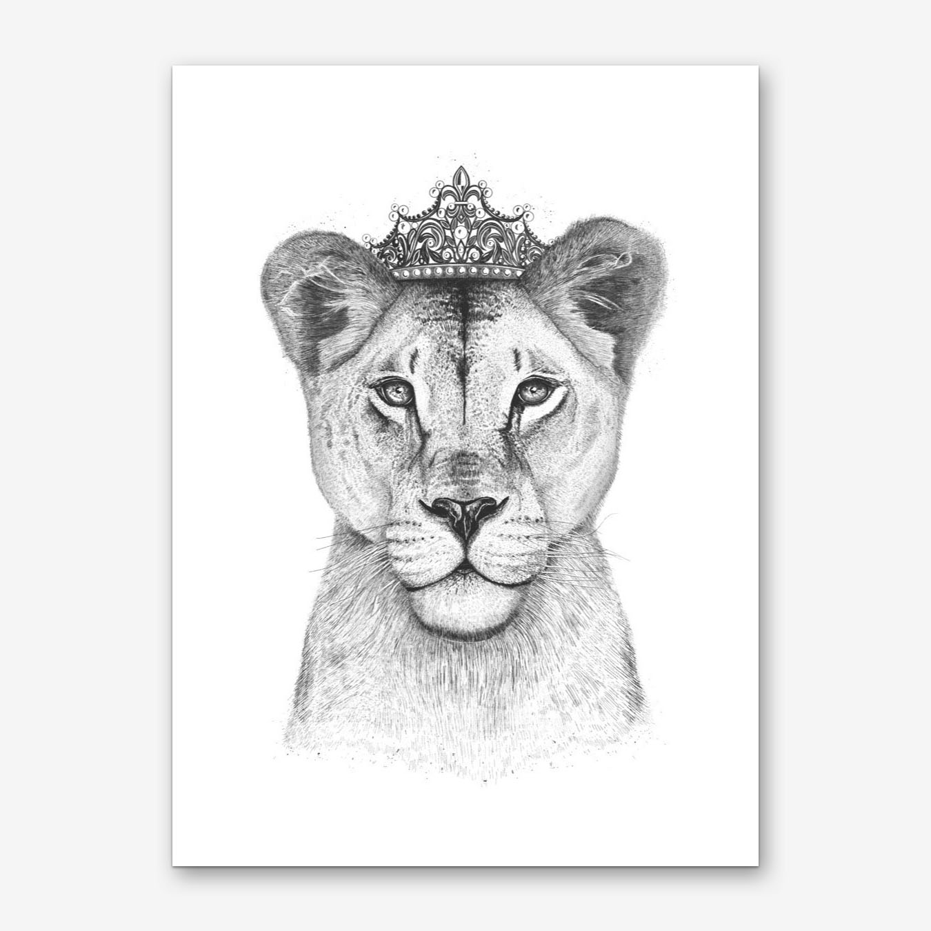 1350x1350 the lioness queen art print free shipping fy - Lioness Head Drawing