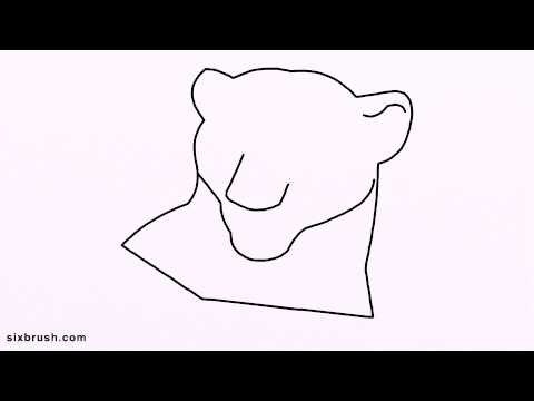 480x360 S How To Draw Lioness Step - Lioness Head Drawing