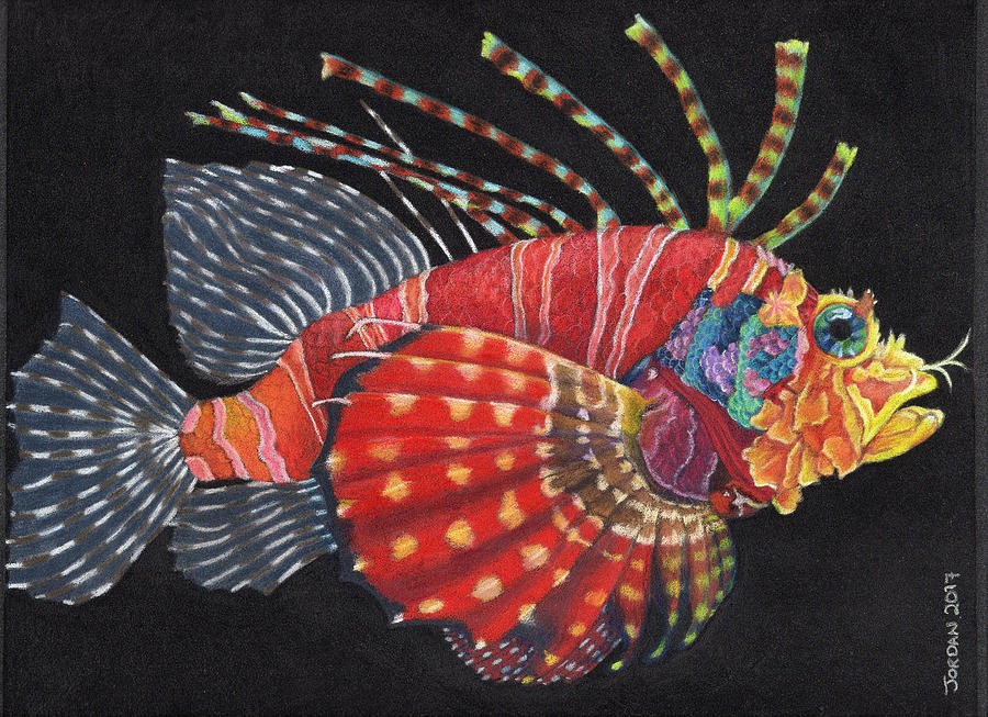900x653 Lion Fish Drawing - Lionfish Drawing