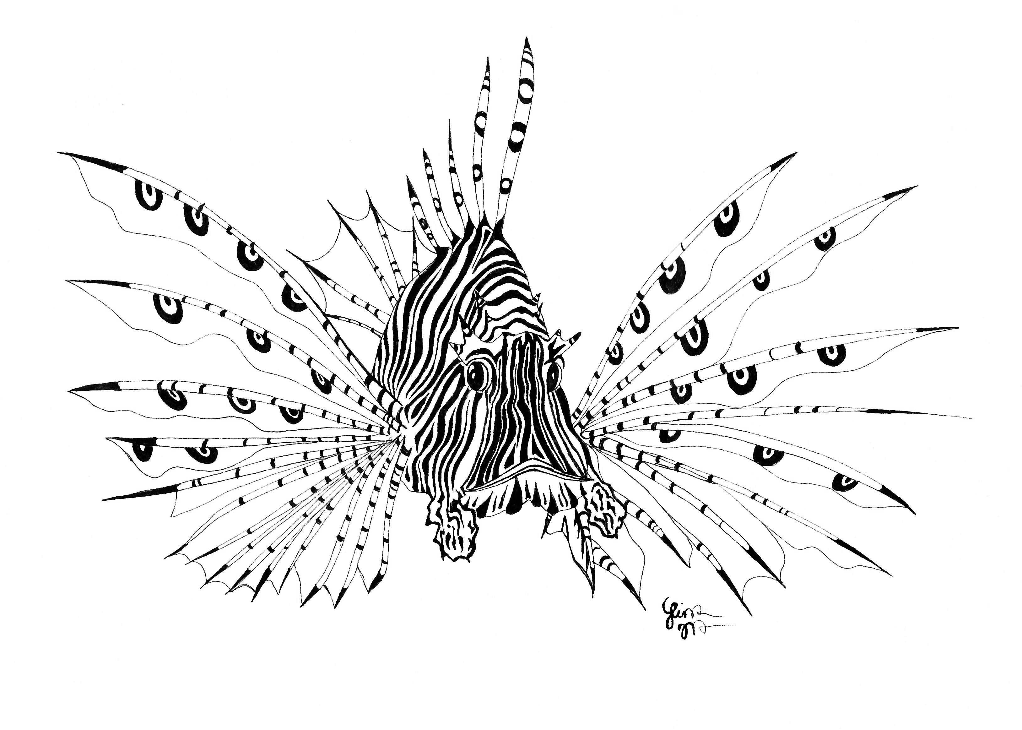 3255x2324 Lion Fish Tattoo Sample Ink Lion Tattoo, Shark Tattoos, Fish - Lionfish Drawing