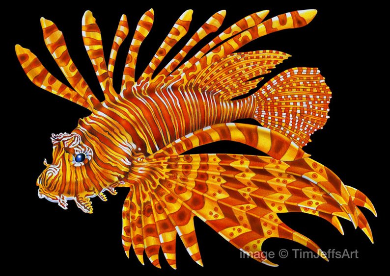 Lionfish Drawing at Explore collection of Lionfish