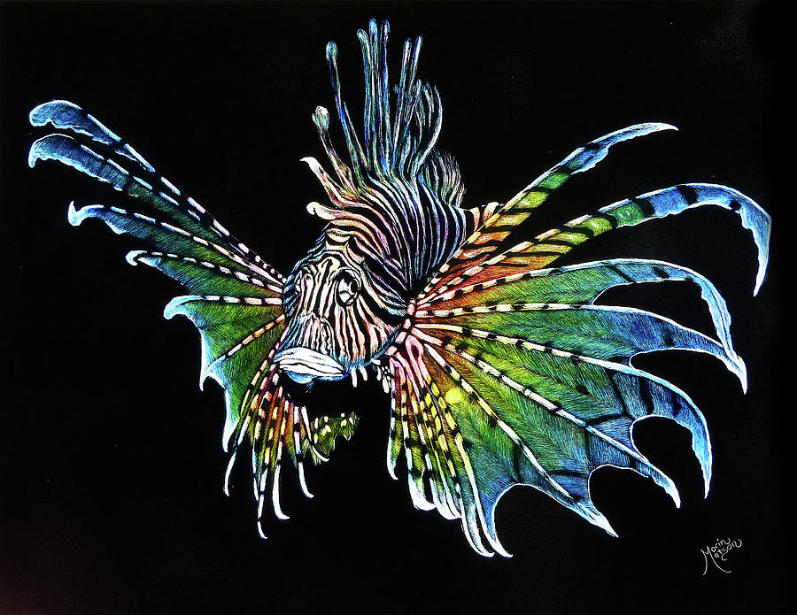 900x695 Rainbow Lion Fish Drawing - Lionfish Drawing