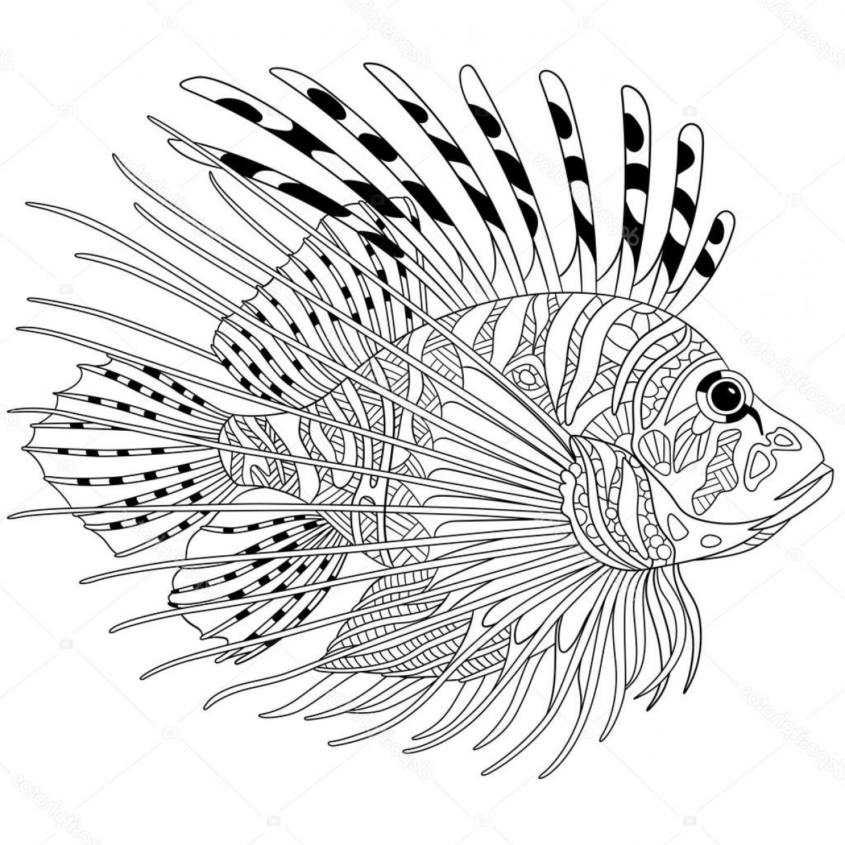Featured image of post How To Draw A Lionfish Check out more how to draw cartoon lessons on my kcfunart channel
