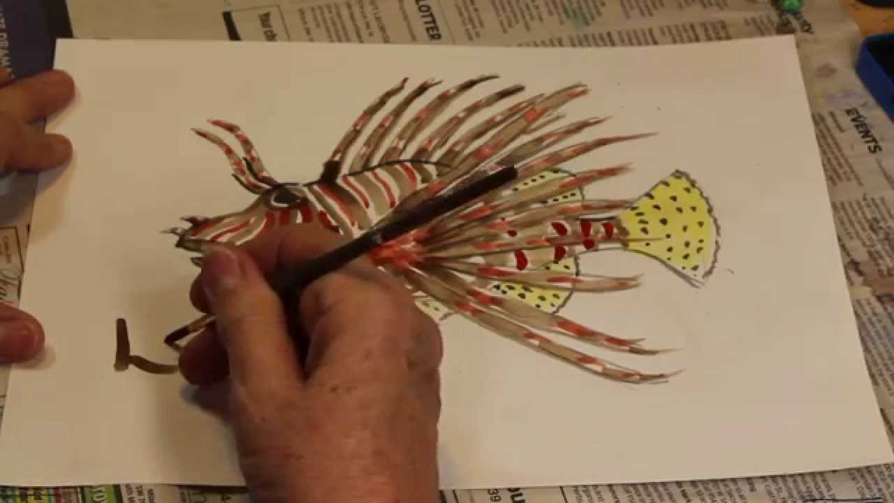1280x720 How To Draw A Fish The Easy Way - Lionfish Drawing