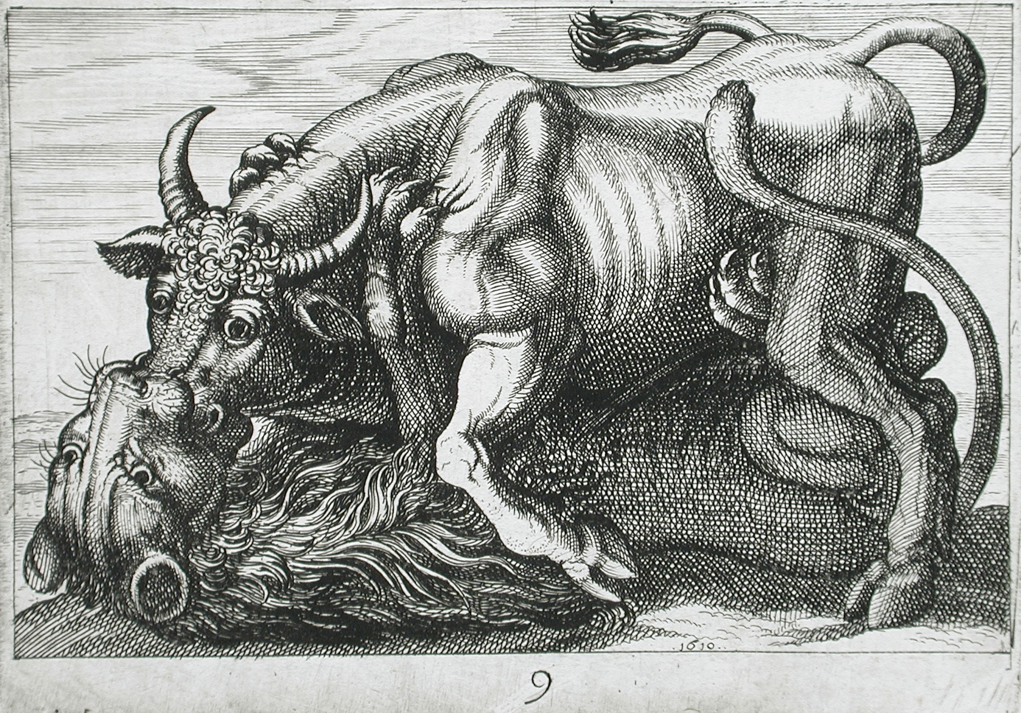 2100x1466 filea bull fighting a lion lacma - Lions Fighting Drawing