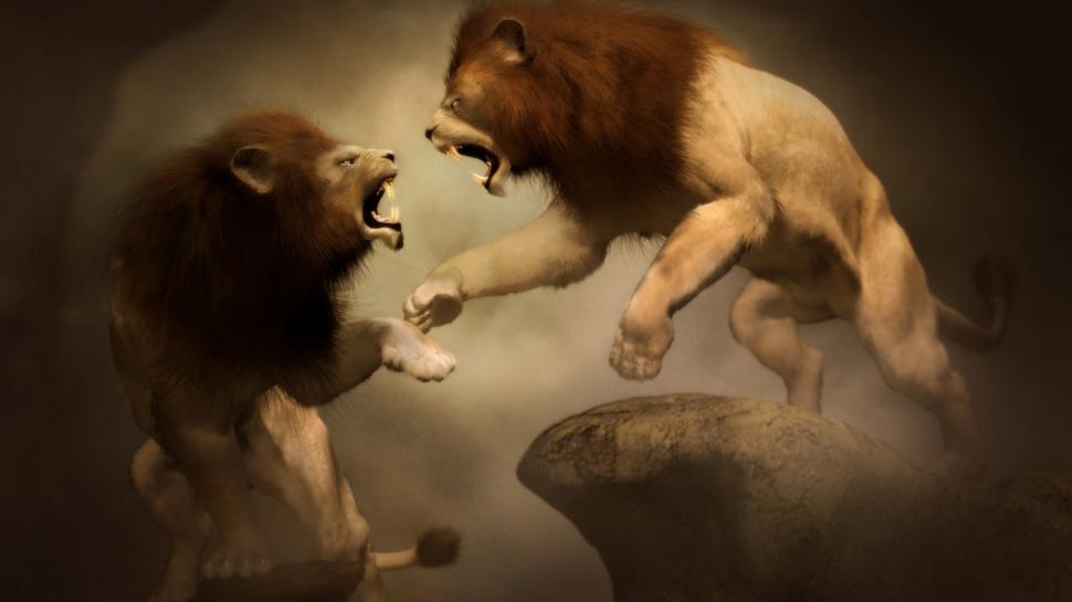 970x545 lions drawing fight hd wallpaper art and paintings wallpaper - Lions Fighting Drawing
