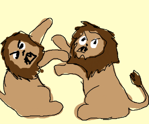 300x250 male lions fighting drawing - Lions Fighting Drawing