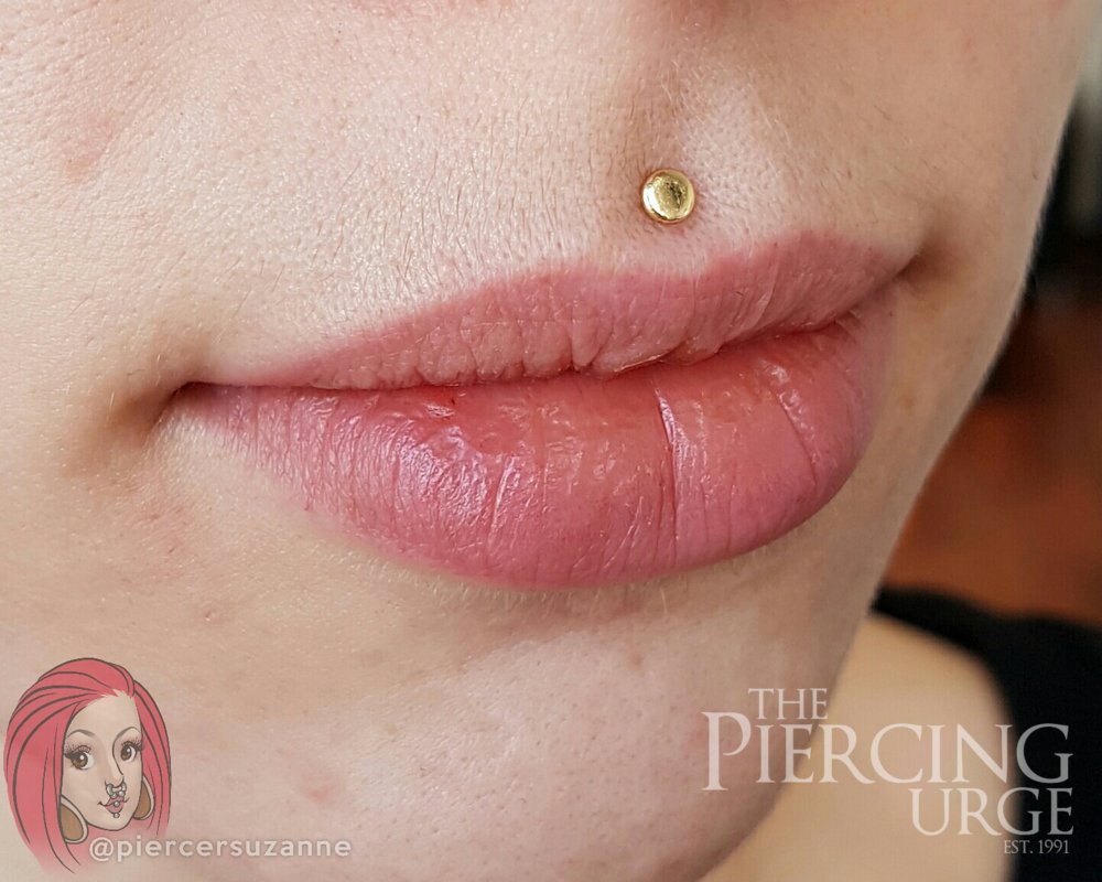 1000x800 The Piercing Urge Most Trusted Body Art Studios, Melbourne - Lip Piercing Drawing