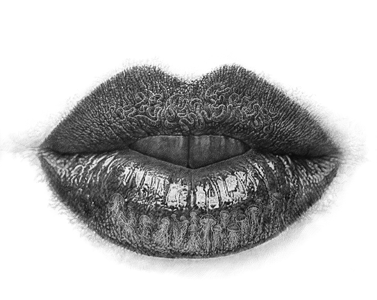 740x588 Lips Series Surreal Pencil Drawings - Lips Pencil Drawing