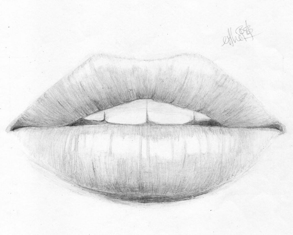 1024x820 Drawing Pencils Lip For Free Download - Lips Pencil Drawing