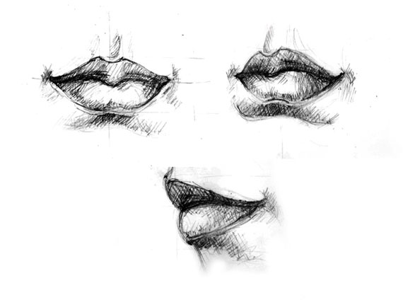570x424 Drawing Vector Portraits Part The Lips - Lips Pencil Drawing