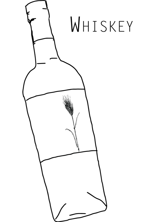 497x750 flask drawing liquor transparent png clipart free download - Liquor Bottle Drawing