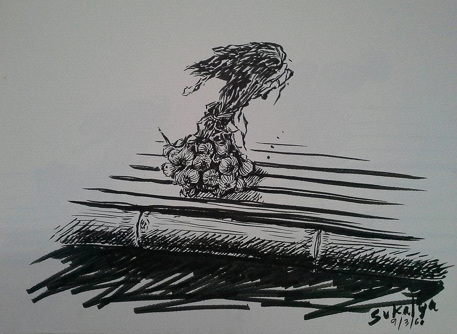 900x658 garlic on the bamboo litter drawing - Litter Drawing