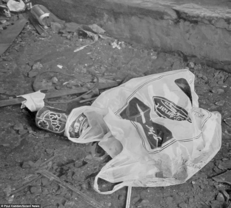 964x871 striking images look like any other collection of photographs - Litter Drawing