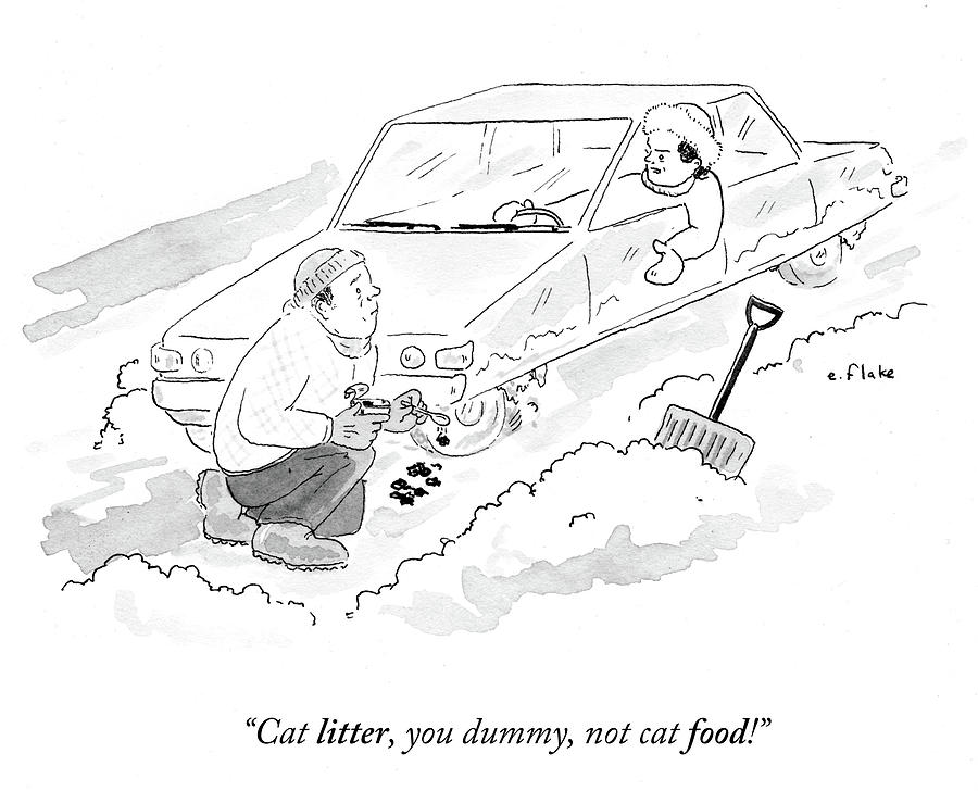 900x728 cat litter you dummy not cat food drawing - Litter Drawing