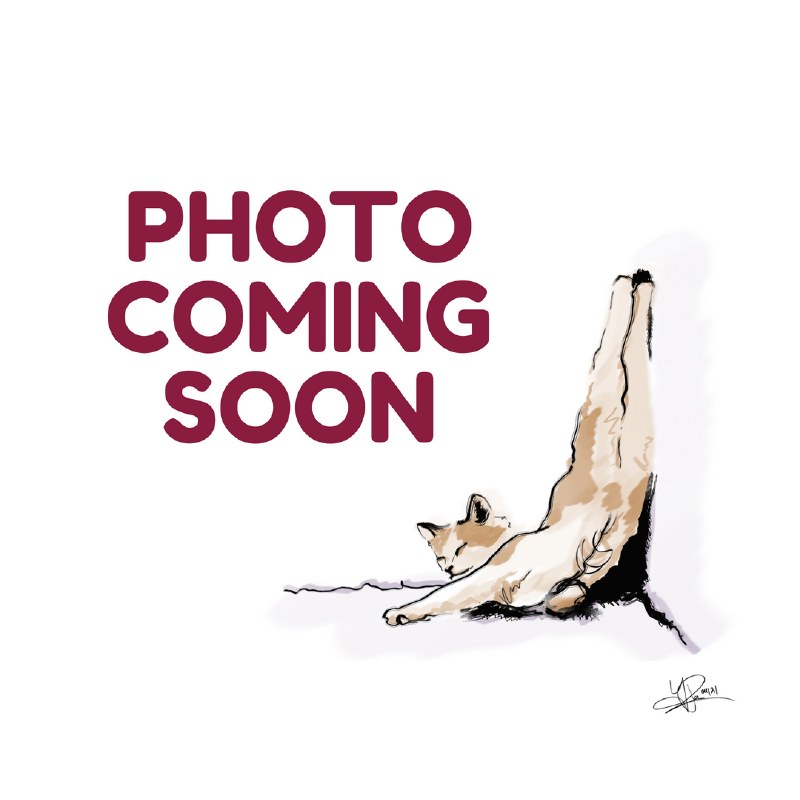 800x800 clumping litter - Litter Drawing